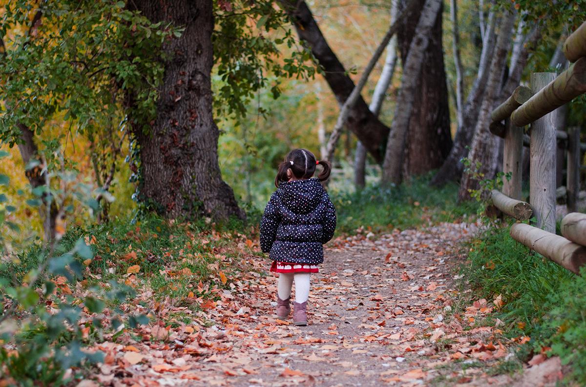 bosque otoño hojas actividades niños
