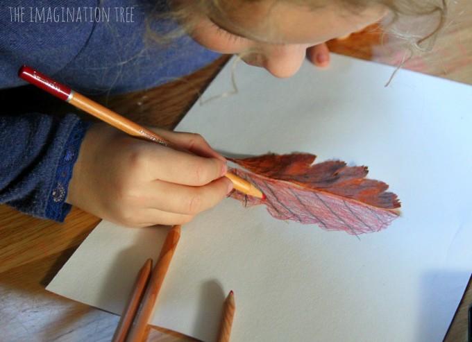 Drawing-half-leaf-mirror-pictures-a-nature-art-activity-for-kids-680x493