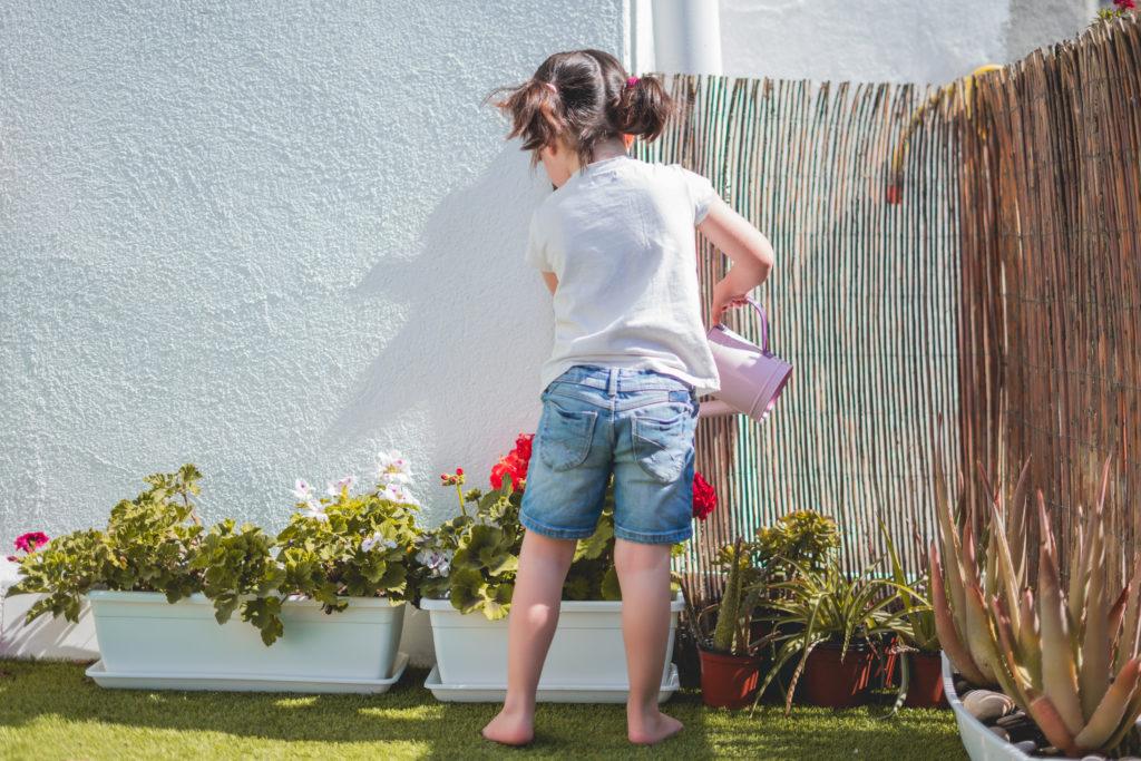 Recursos trabajar medio ambiente y reciclaje para niños - Plantas y huerto