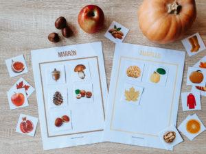 Actividades de otoño descargables gratis pdf - Clasificando por colores