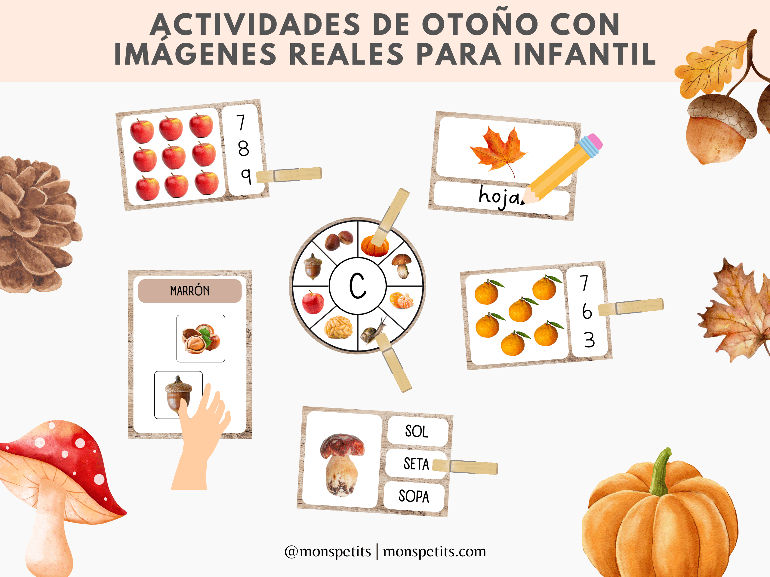 Actividades otoño con imágenes reales